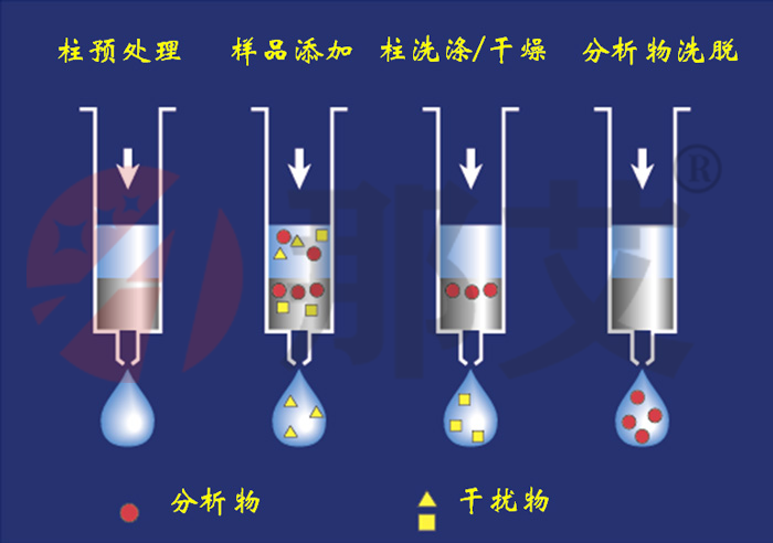 固相萃取仪（SPE）原理示意图：活化—上样—洗涤—洗脱四步完成目标物选择性保留与富集